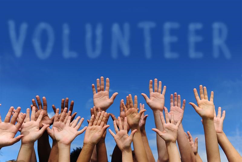 Teen Volunteers