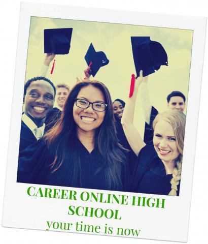 Career Online High School image