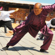 Tai Chi con David Chung image