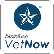 Vet Now Logo